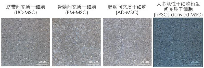 【逛展會零距離】“渝”您共赴中國細(xì)胞生物學(xué)學(xué)會2021年全國學(xué)術(shù)大會