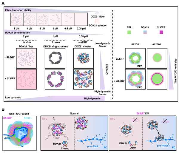 全式金產(chǎn)品再登《Science》雜志