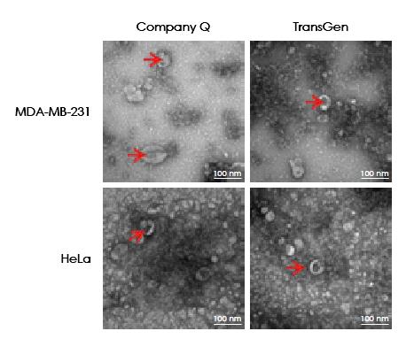 【逛展會零距離】“渝”您共赴中國細(xì)胞生物學(xué)學(xué)會2021年全國學(xué)術(shù)大會