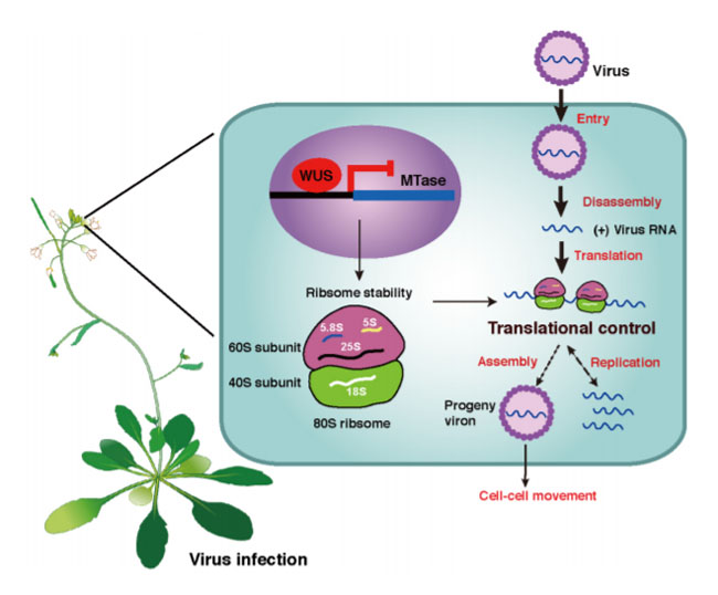 全式金產(chǎn)品再登《Science》雜志