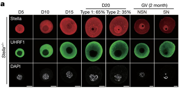 喜訊：全式金產(chǎn)品再登《Nature》雜志