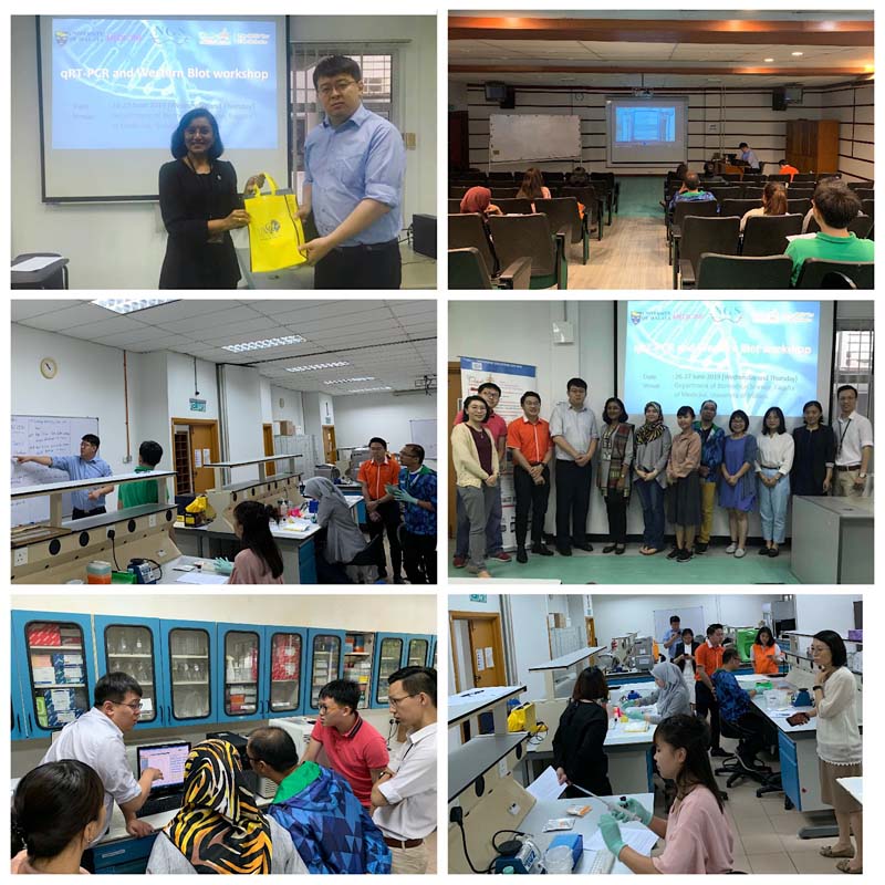 全式金在馬來西亞3所高校成功舉辦Workshop