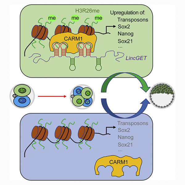 喜訊：全式金產(chǎn)品再登《Cell》雜志