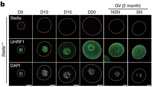 喜訊：全式金產(chǎn)品再登《Nature》雜志