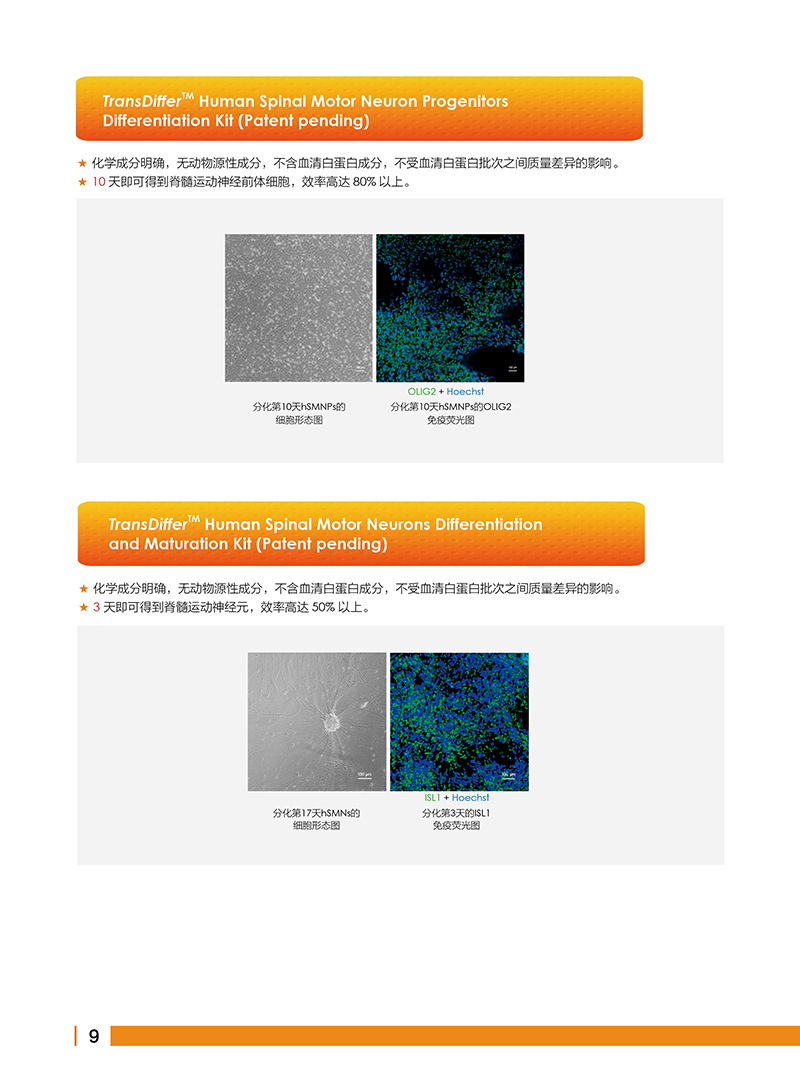 細(xì)胞生物學(xué)金牌產(chǎn)品7.5折大促