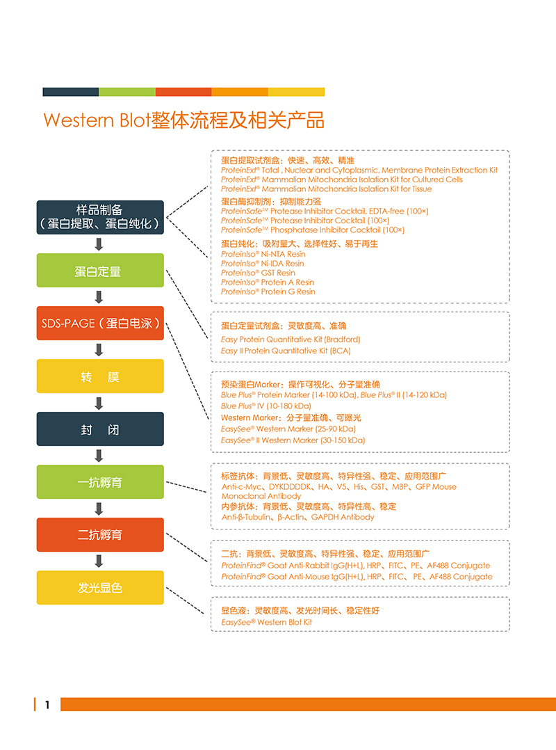 Western Blot金牌產(chǎn)品7.5折大促