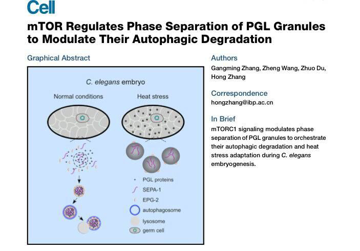 喜訊：全式金產(chǎn)品再登《Cell》雜志