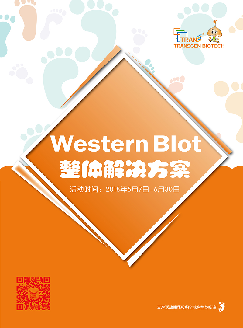 Western Blot金牌產(chǎn)品7.5折大促