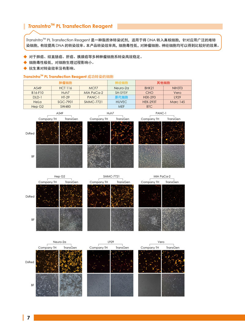 全式金生物禮惠金秋