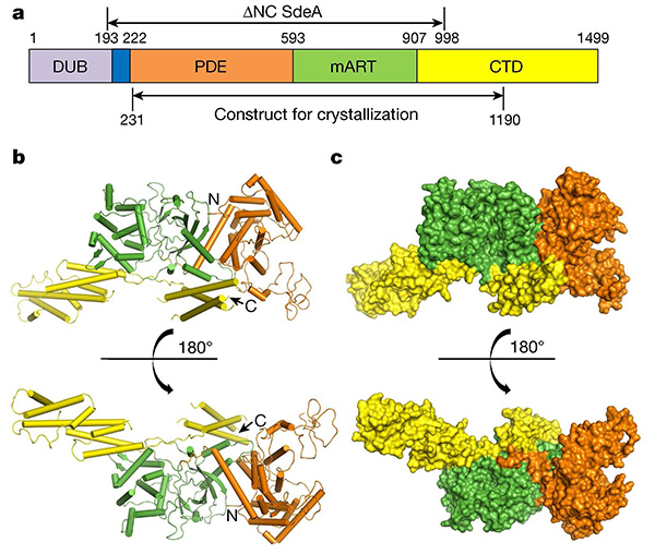喜訊：全式金產(chǎn)品三登《Nature》雜志