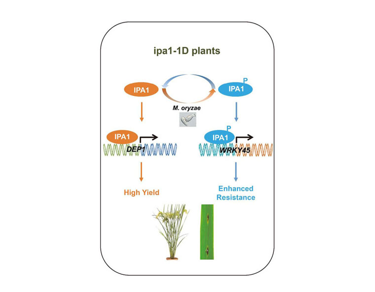 喜訊：全式金產(chǎn)品再登《Science》雜志