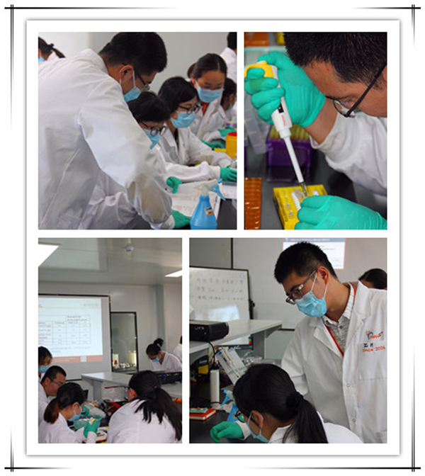 Trans實(shí)驗(yàn)培訓(xùn)班(第二期)開(kāi)班