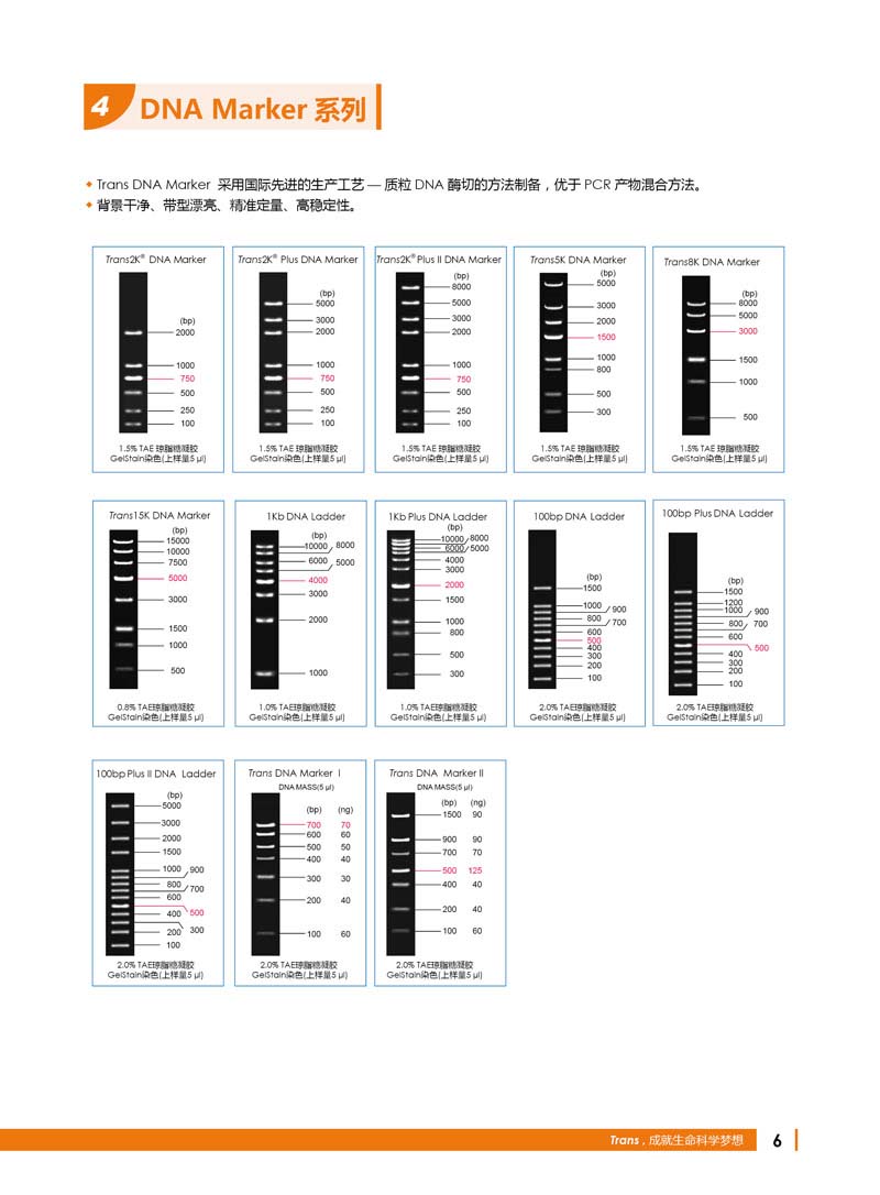 全式金明星產(chǎn)品