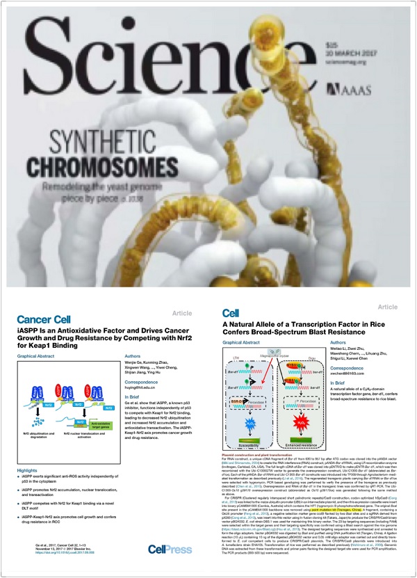 全式金生物成功參展第十二屆全國(guó)免疫學(xué)學(xué)術(shù)大會(huì)