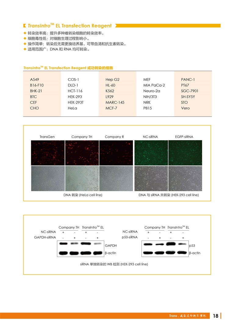 全式金 12周年慶金牌產(chǎn)品推薦（北京上海廣州深圳地區(qū)）