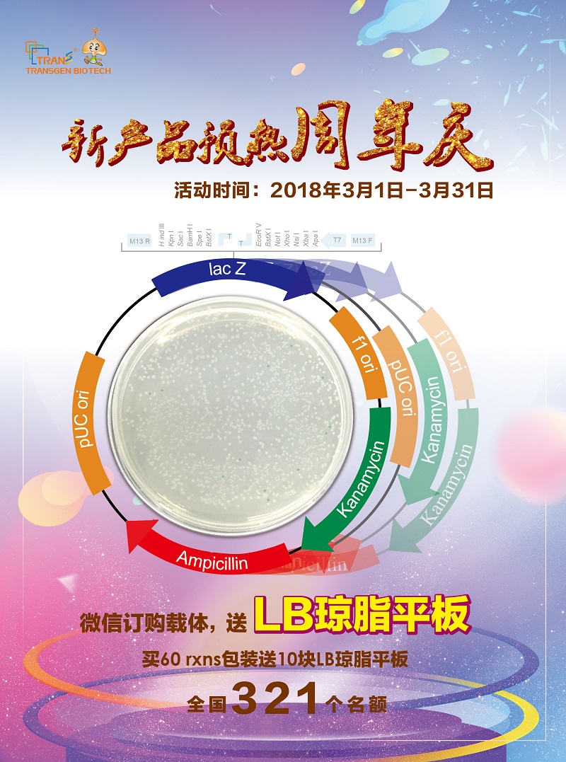 新產(chǎn)品預(yù)熱周年慶，買載體送平板