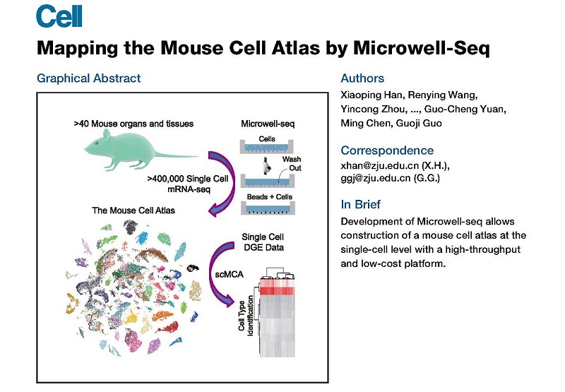 喜訊：全式金產(chǎn)品再登《Cell》雜志