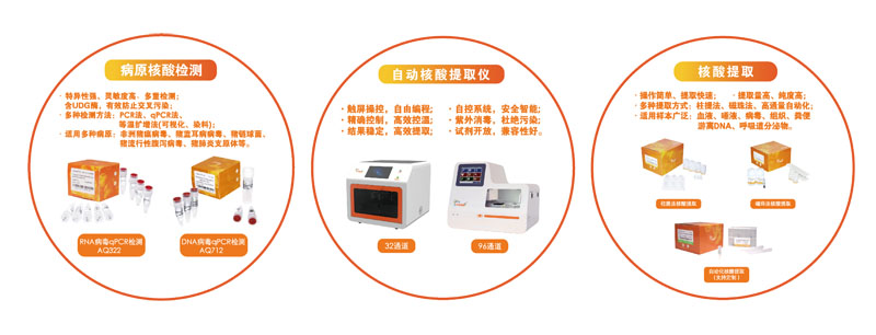 【展會零距離】第十屆李曼中國養(yǎng)豬大會