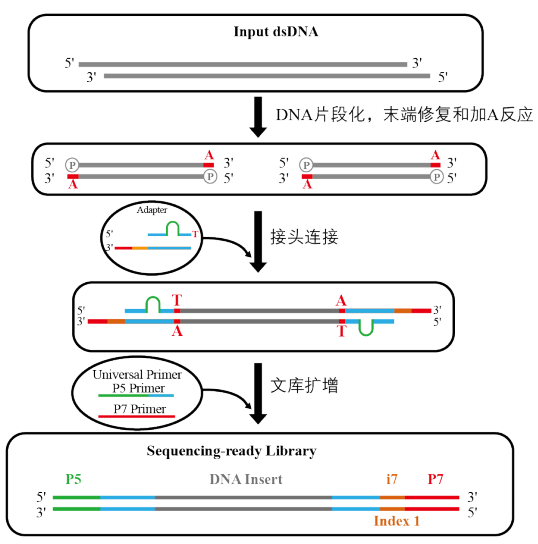 圖片29.png 圖片29.png