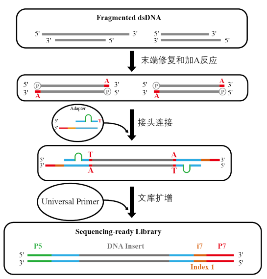 圖片10.png 圖片10.png