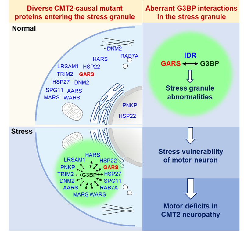 圖片2.png 圖片2.png
