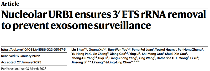 助力科研，全式金Trans1-T1化學(xué)感受態(tài)細胞榮登Nature