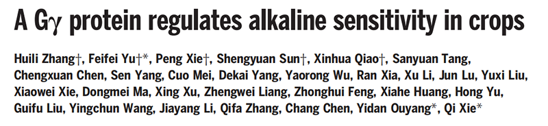 助力科研，全式金反轉(zhuǎn)錄和qPCR產(chǎn)品榮登Science