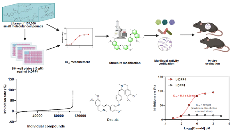 高通量篩選發(fā)現(xiàn)菌源DPP4特異性抑制劑