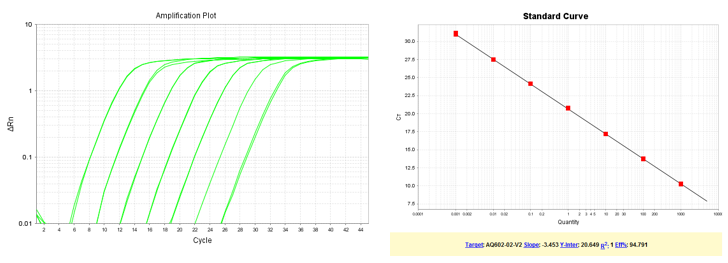 以梯度稀釋的質(zhì)粒DNA為模板，使用TransGen產(chǎn)品進行擴增。結(jié)果顯示，TransGen產(chǎn)品擴增效率高，可得到漂亮的擴增曲線和標(biāo)準(zhǔn)曲線。