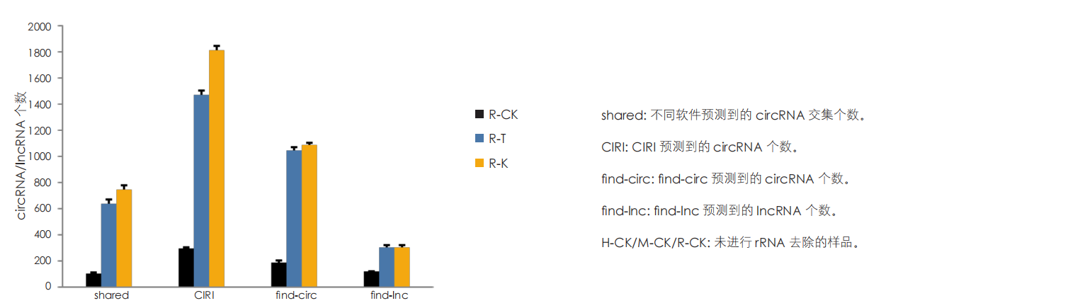 circRNA/lncRNA 分析 circRNA/lncRNA 分析
