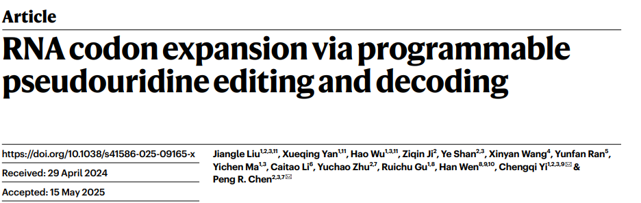 RNA codon expansion via programmable pseudouridine editing and decoding
