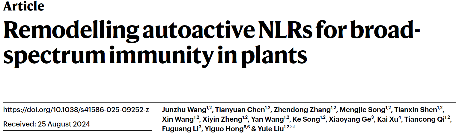 Remodelling autoactive NLRs for broad-spectrum immunity in plants Remodelling autoactive NLRs for broad-spectrum immunity in plants