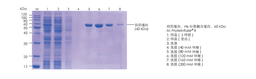 數(shù)據(jù)展示