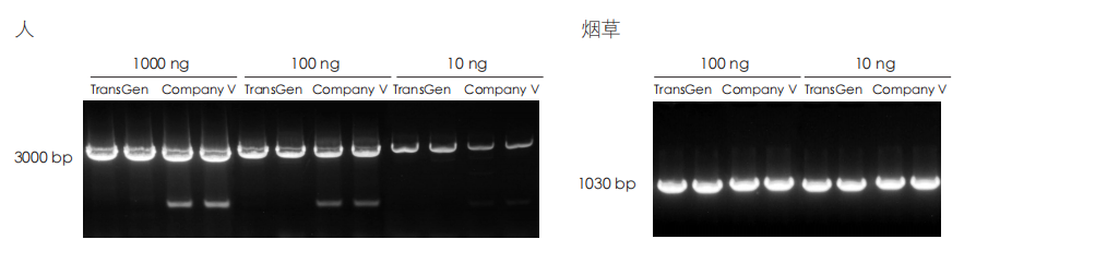 PCR 檢測(cè) PCR 檢測(cè)