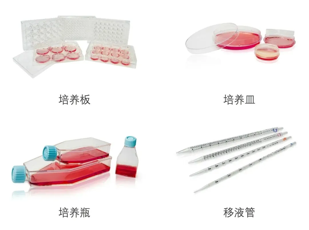細(xì)胞培養(yǎng)相關(guān)耗材.jpg
